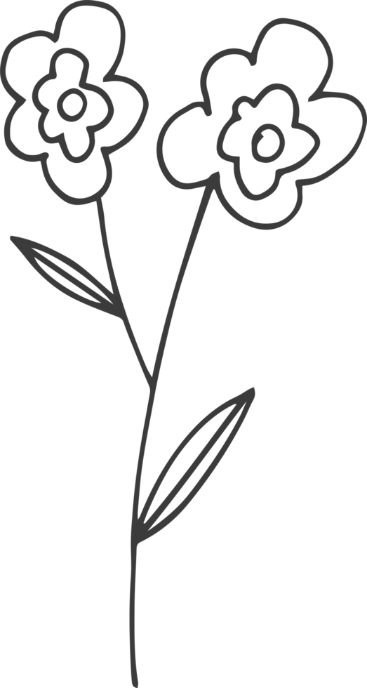 handgetekende bloem clipart ontwerp illustratie png