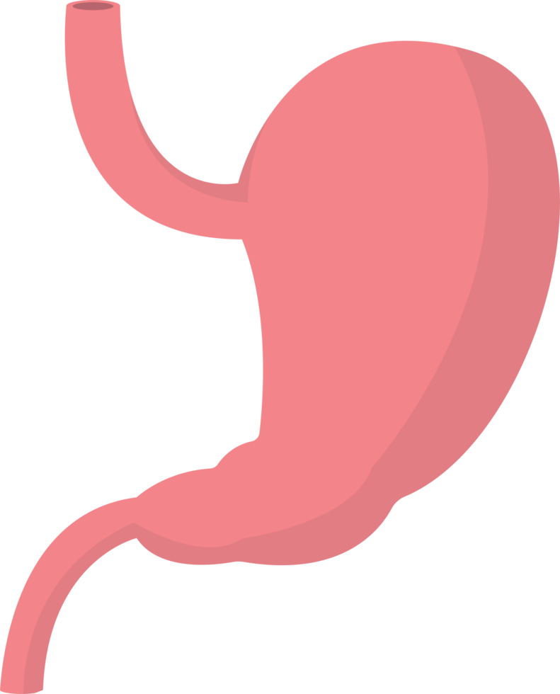 Stomach clipart design illustration png