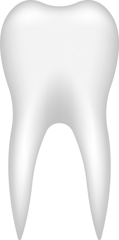 ilustração de design de clipart de vetor de dente png