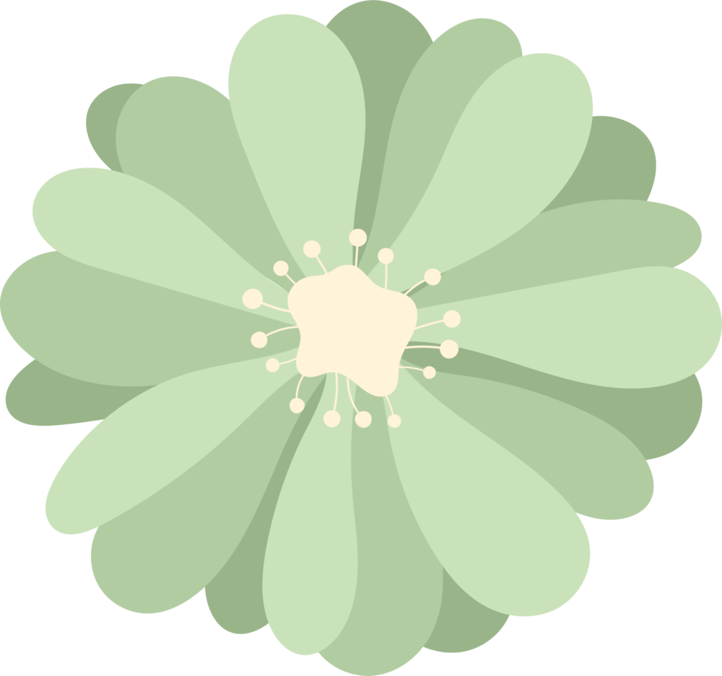 fleurs clipart conception illustration png