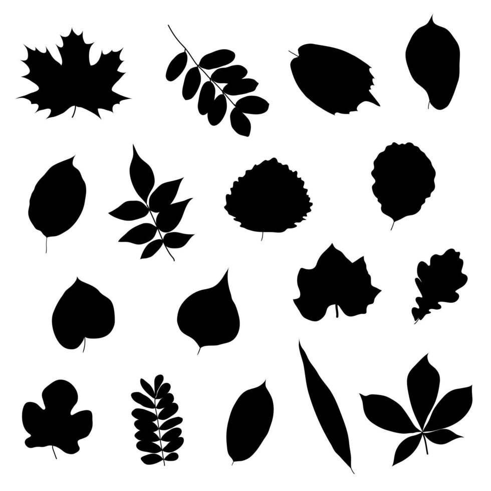 A set of leaf silhouettes. Vector isolated on a white background.