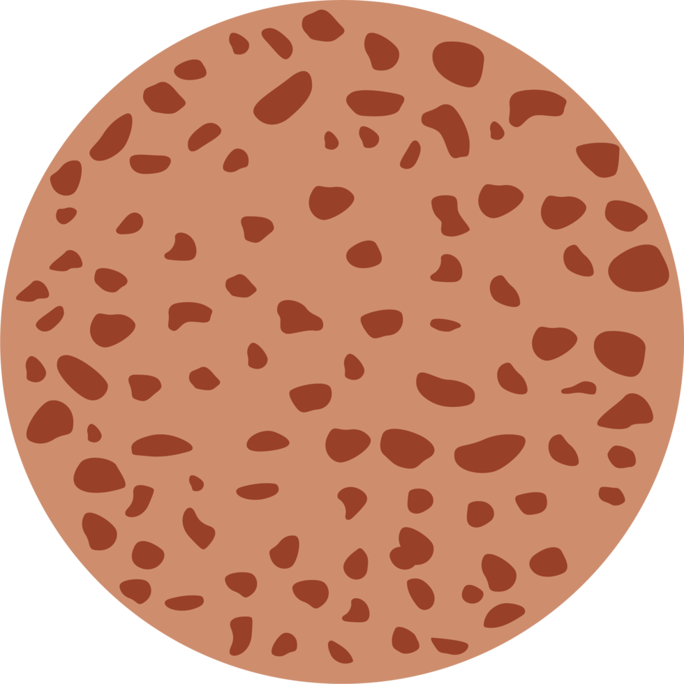Osteoporosis bone clipart design illustration png