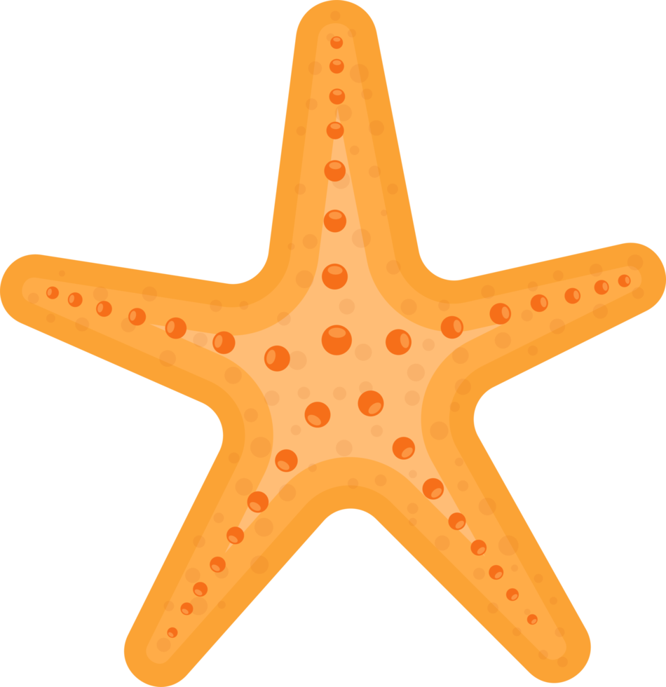 illustrazione di progettazione di clipart di stelle marine di mare png