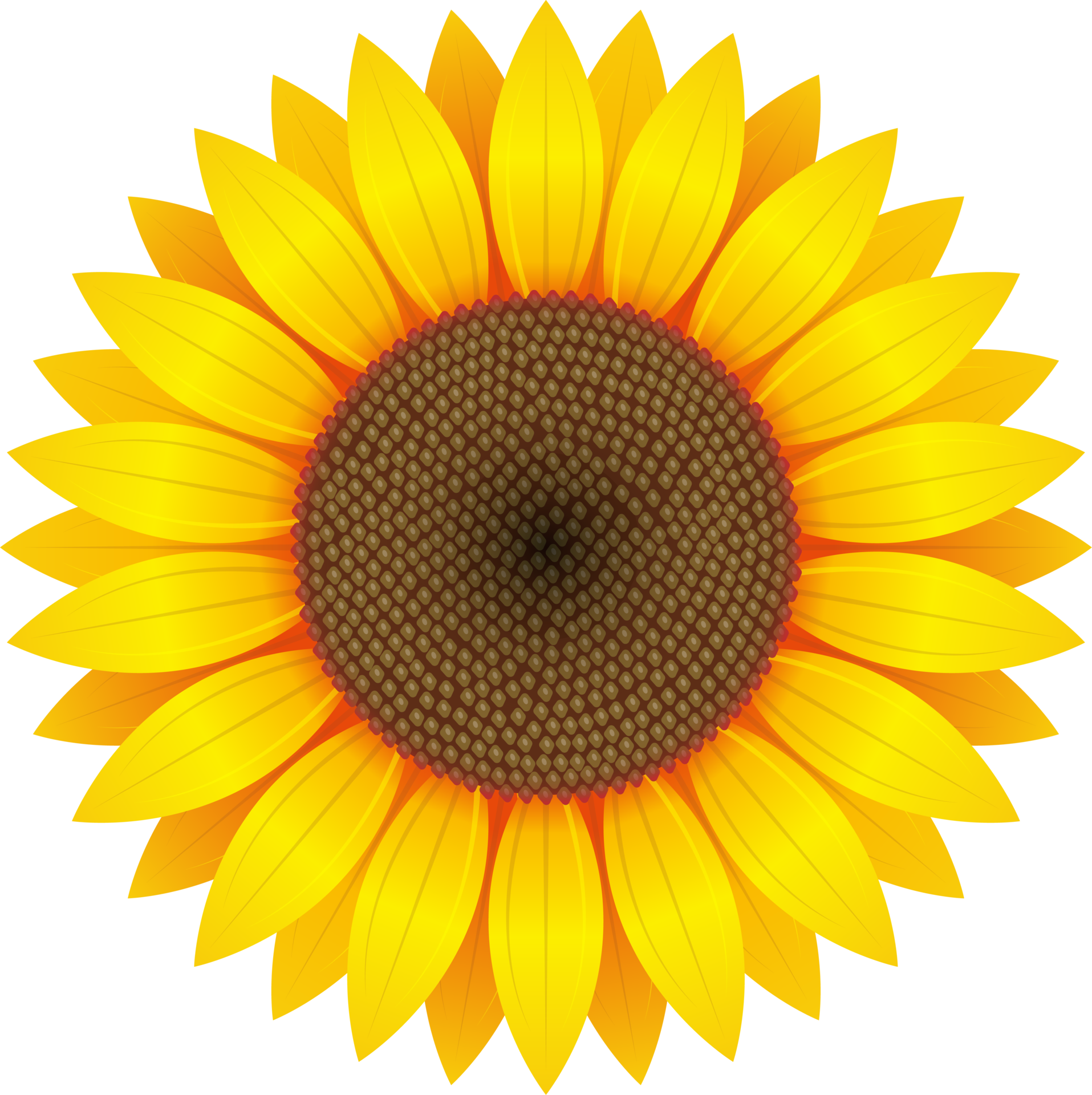 solros-clipart-design-illustration-9383908-png