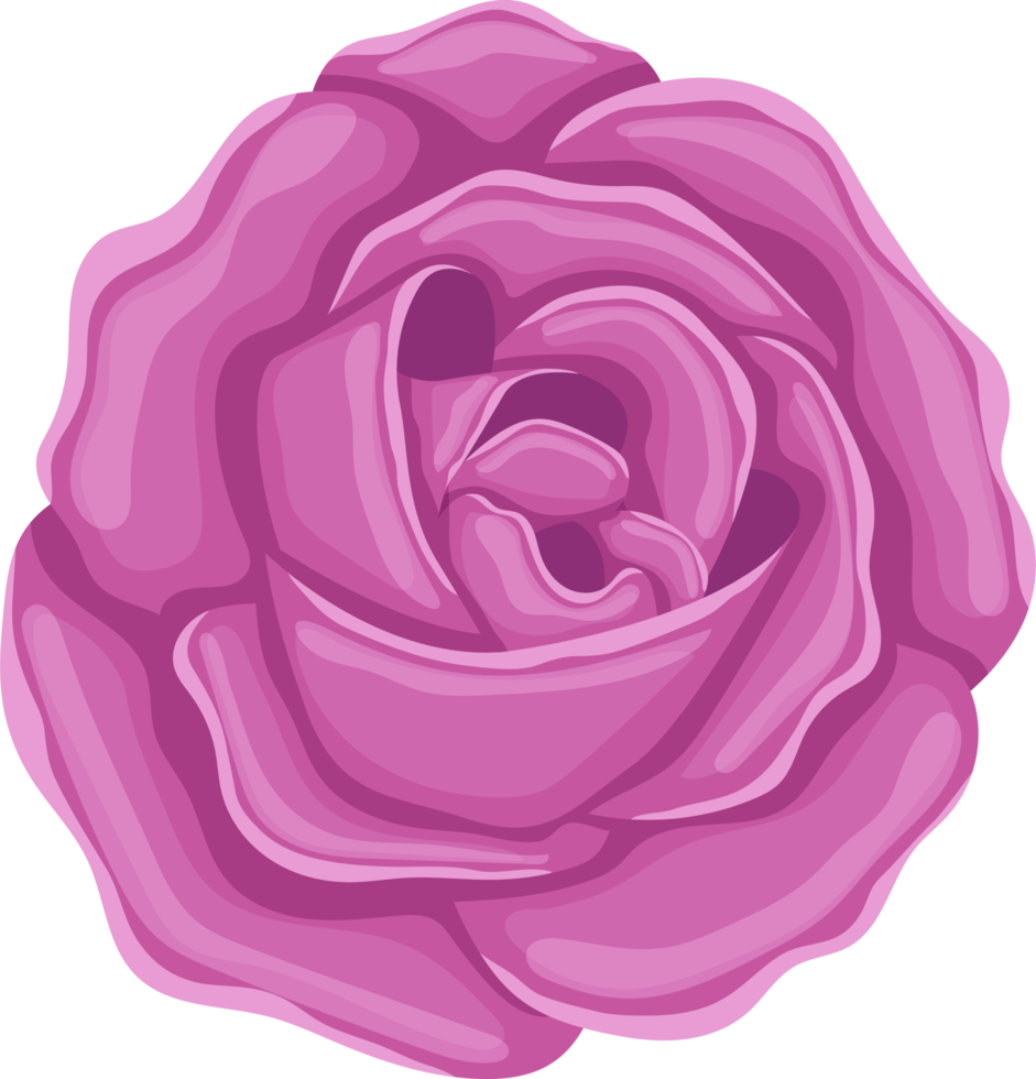 fleur rose clipart conception illustration png