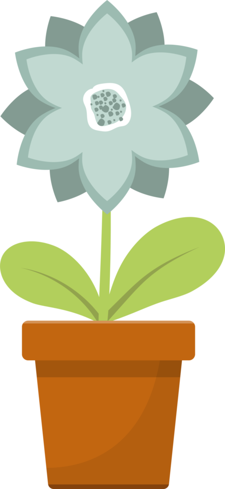 Flower in pot clipart design illustration png