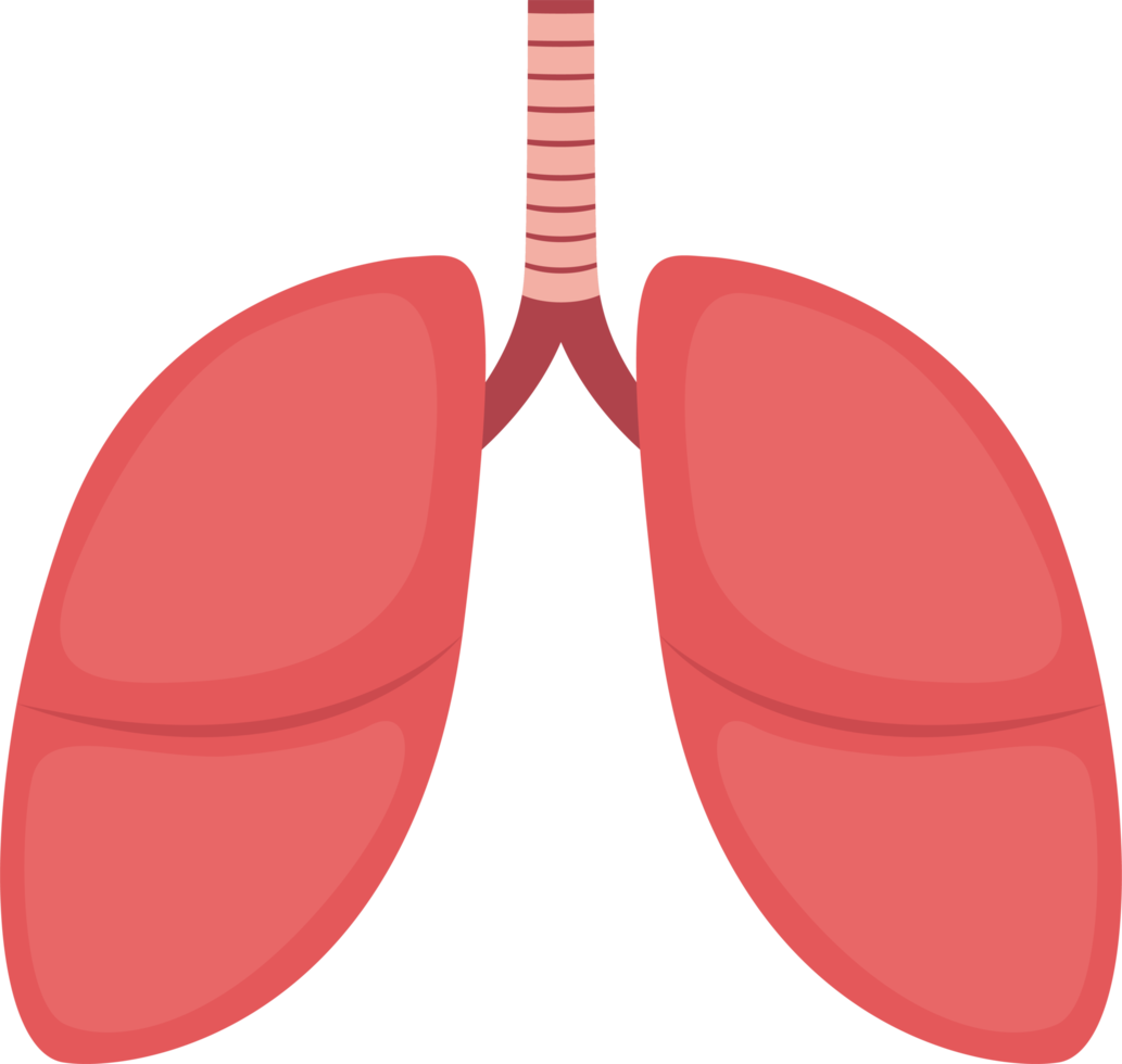 Lung clipart design illustration 9384094 PNG