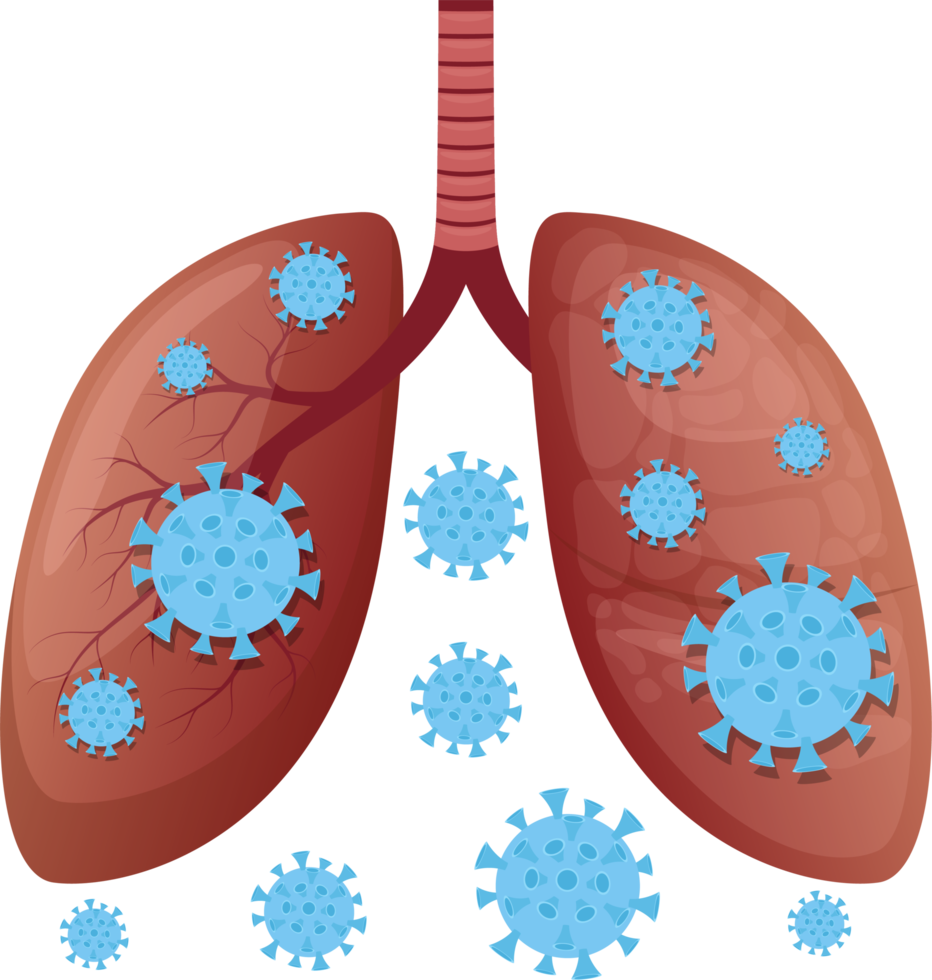 Lung clipart design illustration png