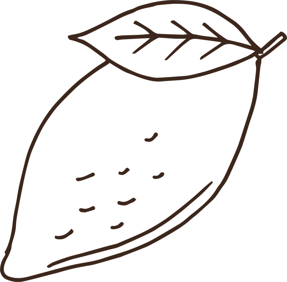 Hand drawn fruits clipart design illustration png