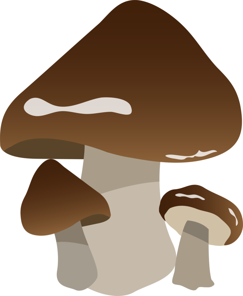 Mushroom clipart design illustration png