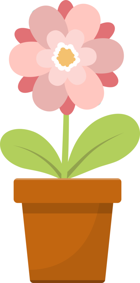 Flower in pot clipart design illustration png