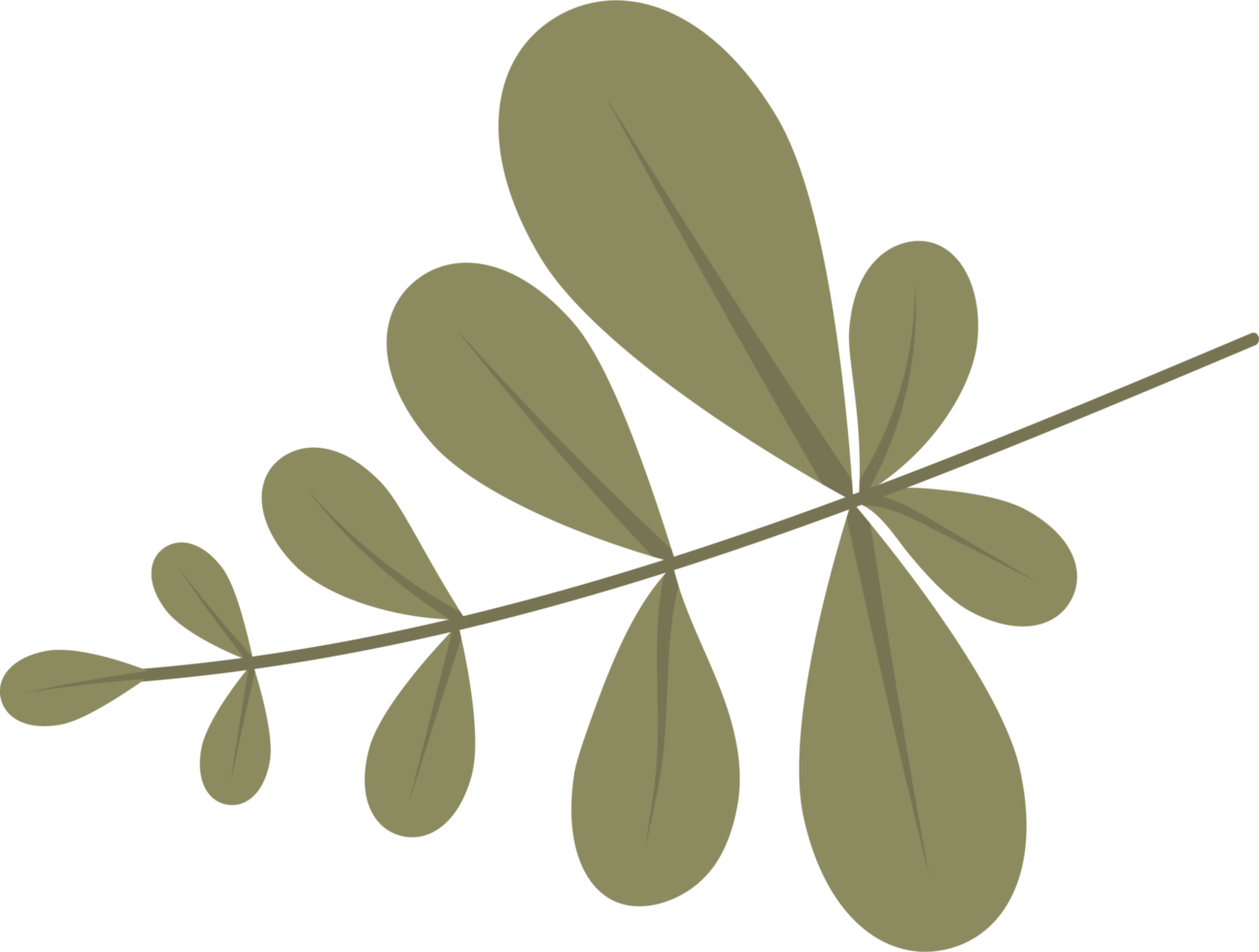 ilustração de design de clipart de folhas tropicais png