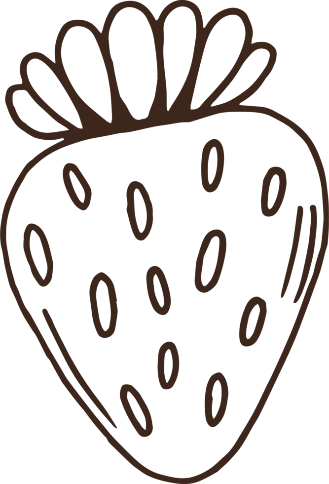 Hand drawn fruits clipart design illustration png