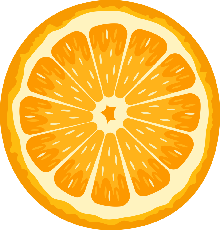Citrus clipart design illustration png