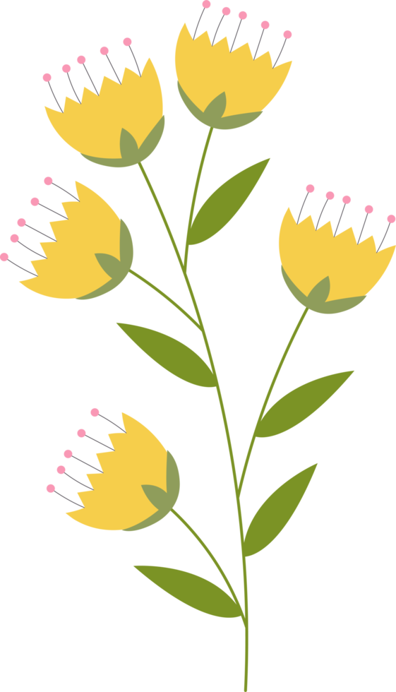 bloemen clipart ontwerp illustratie png