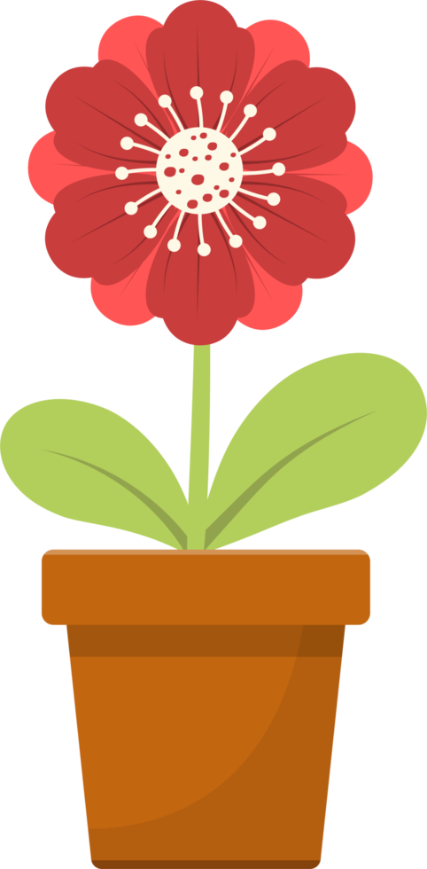 Flower in pot clipart design illustration png