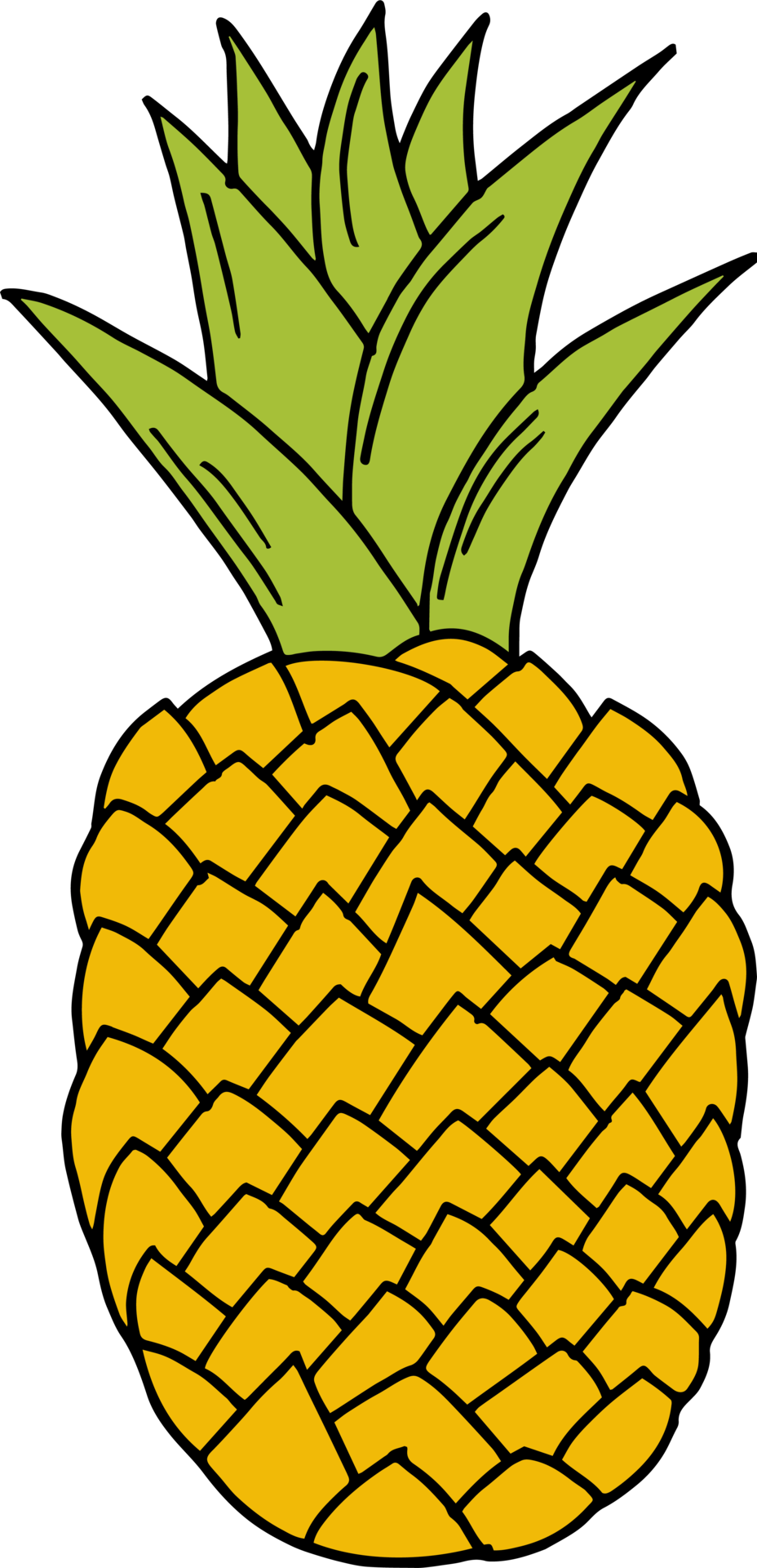 Hand drawn fruits clipart design illustration 9385267 PNG