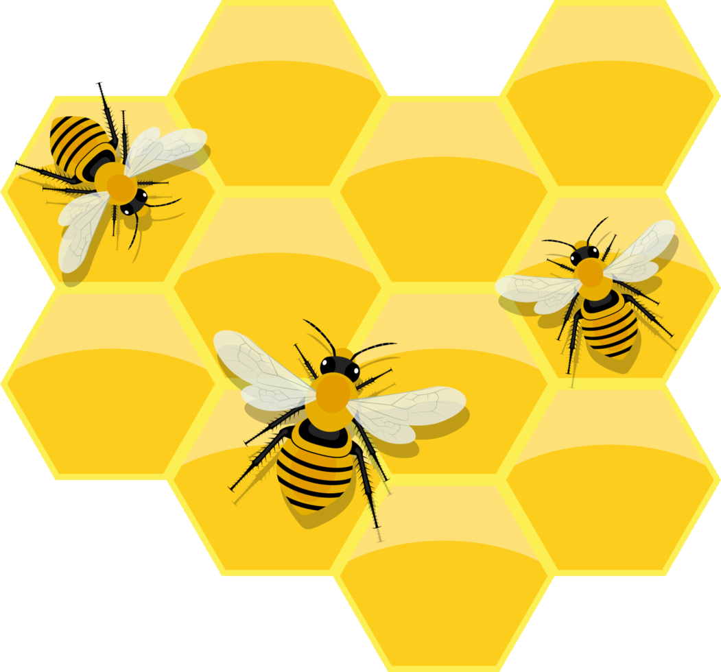 Honeycomb clipart design illustration png