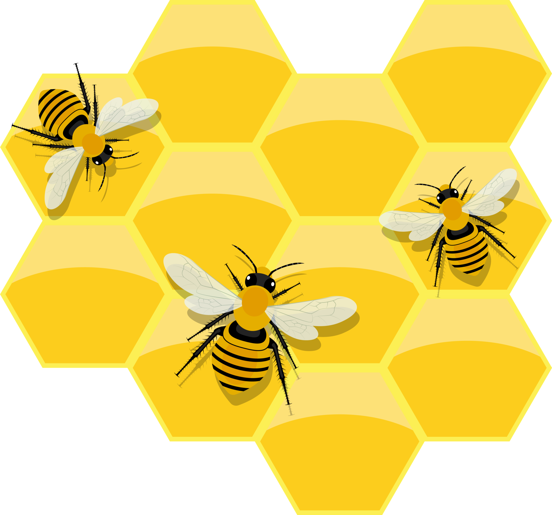 honeycomb-clipart-design-illustration-9385359-png