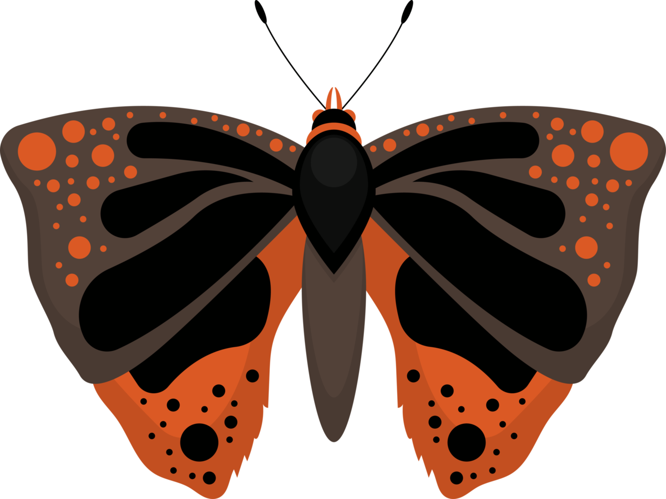 vlinder clipart ontwerp illustratie png