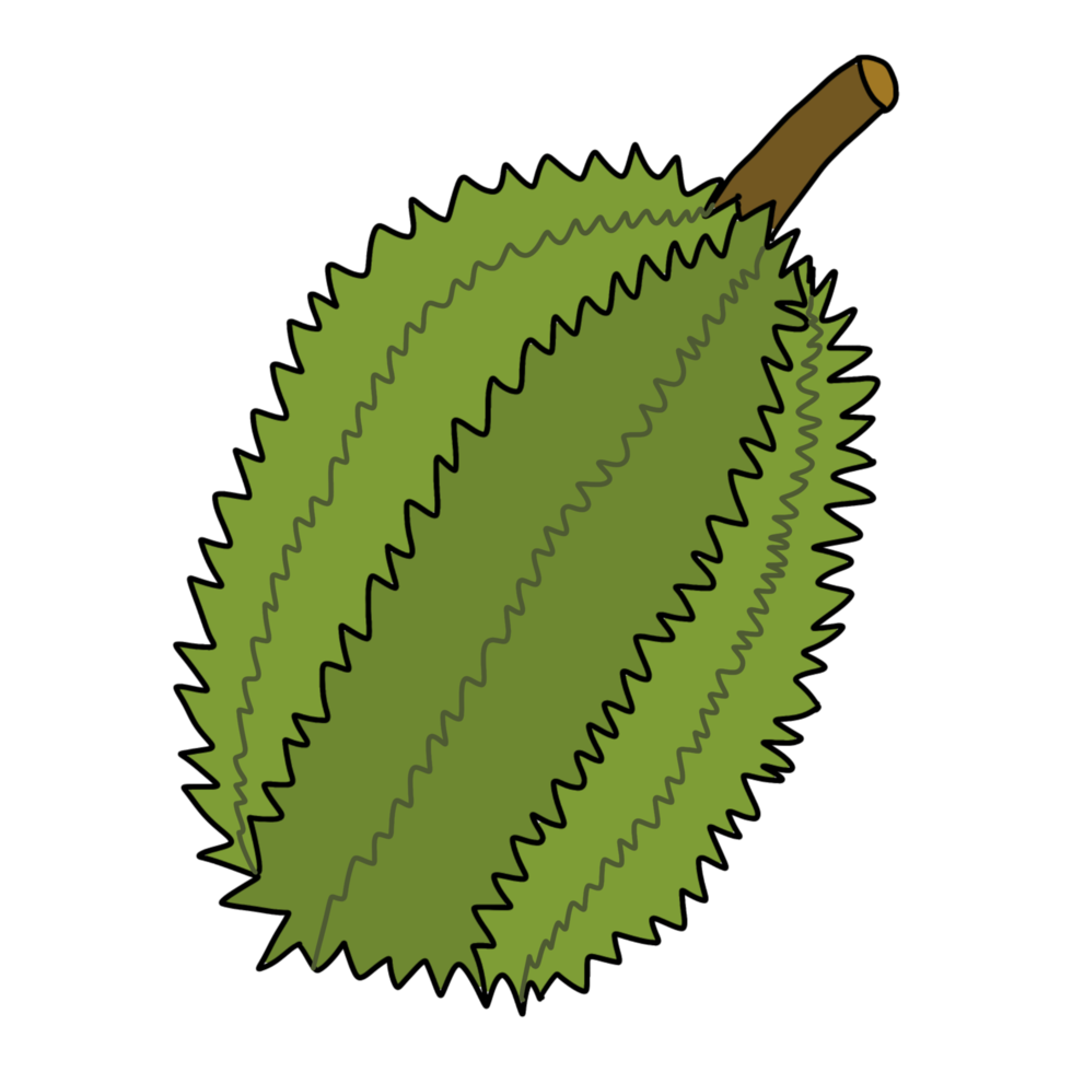 durian thai färsk frukt png