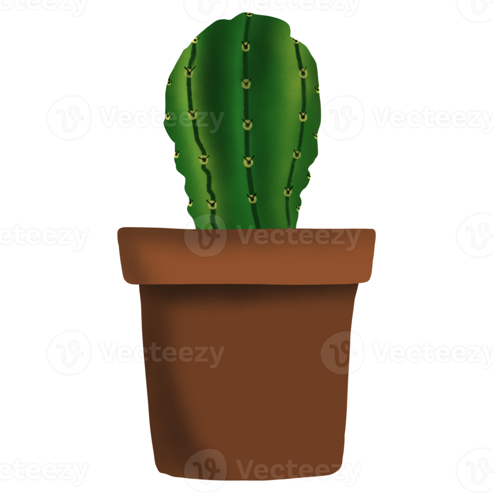 Cactus Plant in Pot png