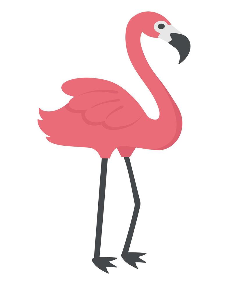 Tropical pink flamingo. Doodle flat clipart. All objects are repainted. vector