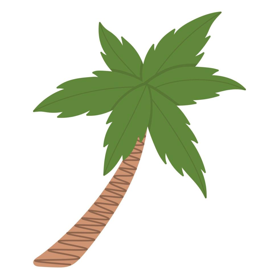 árbol de coco tropical. garabatear imágenes prediseñadas planas. Todos los objetos están repintados. vector