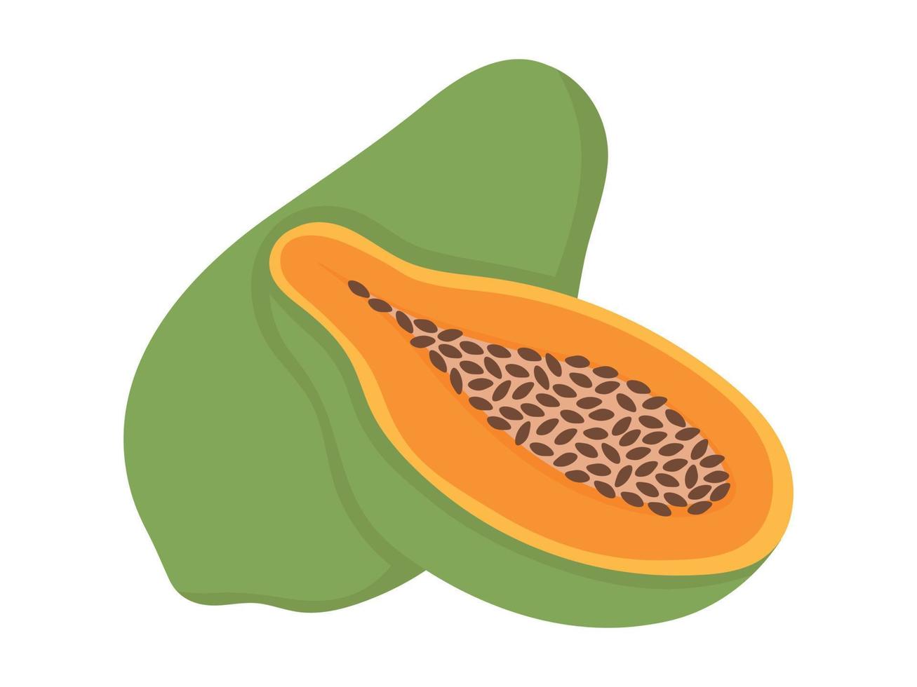 Simple vector papaya. Flat doodle clipart. All objects are repainted.