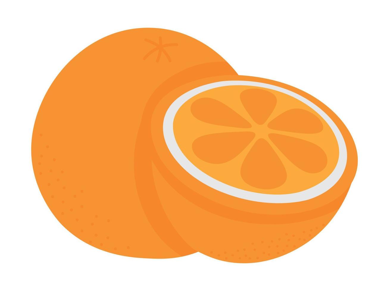 Simple vector orange. Flat doodle clipart. All objects are repainted.