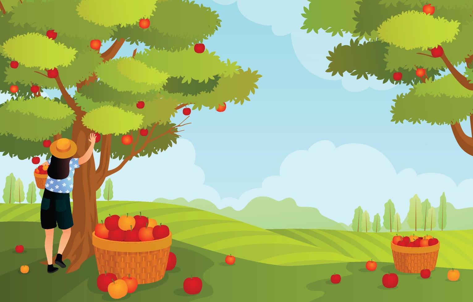 Beautiful Apple Orchard vector