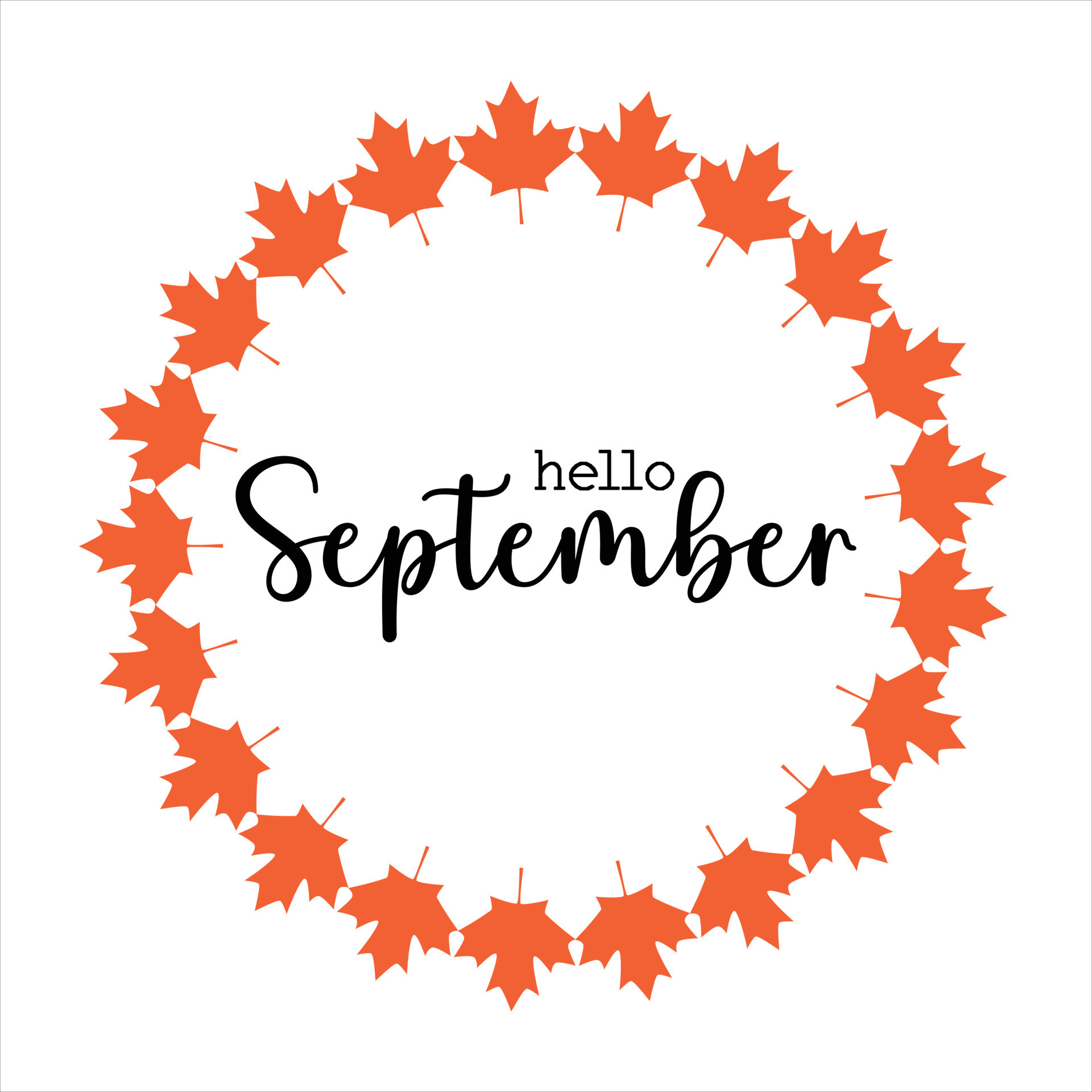 Hello September greeting card with maple leaf icon. Vector design
