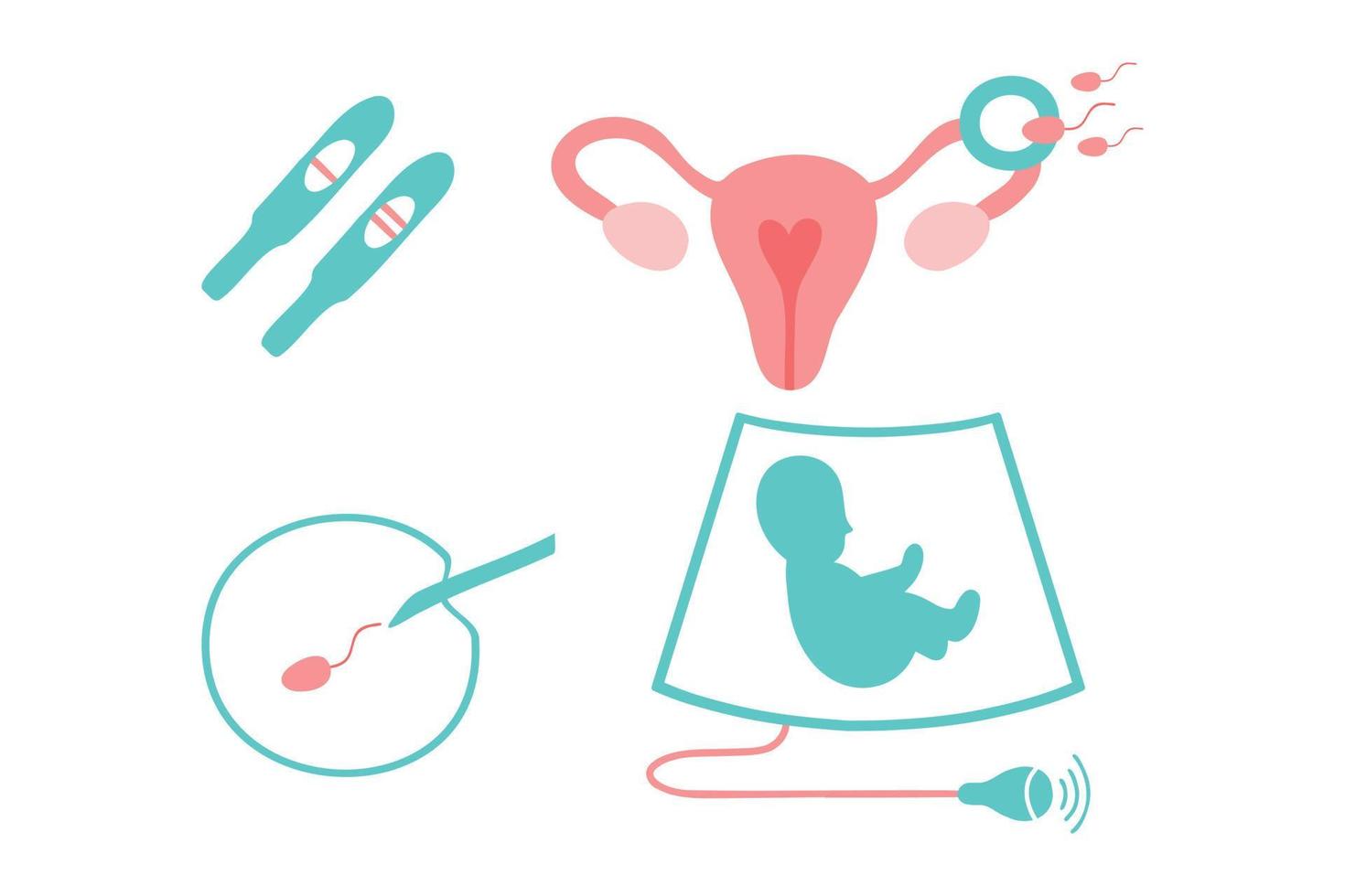 Obstetrics icons set. Ultrasound, artificial fertilization, pregnancy, fetus, intrauterine insemination, pregnancy test. vector