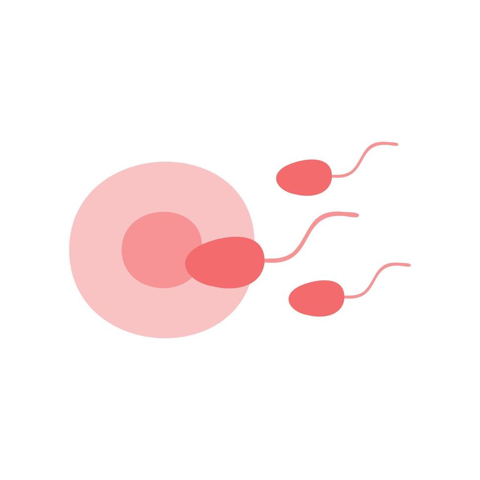 Fertilization icon. Uterus, sperm, insemination. Embryology vector