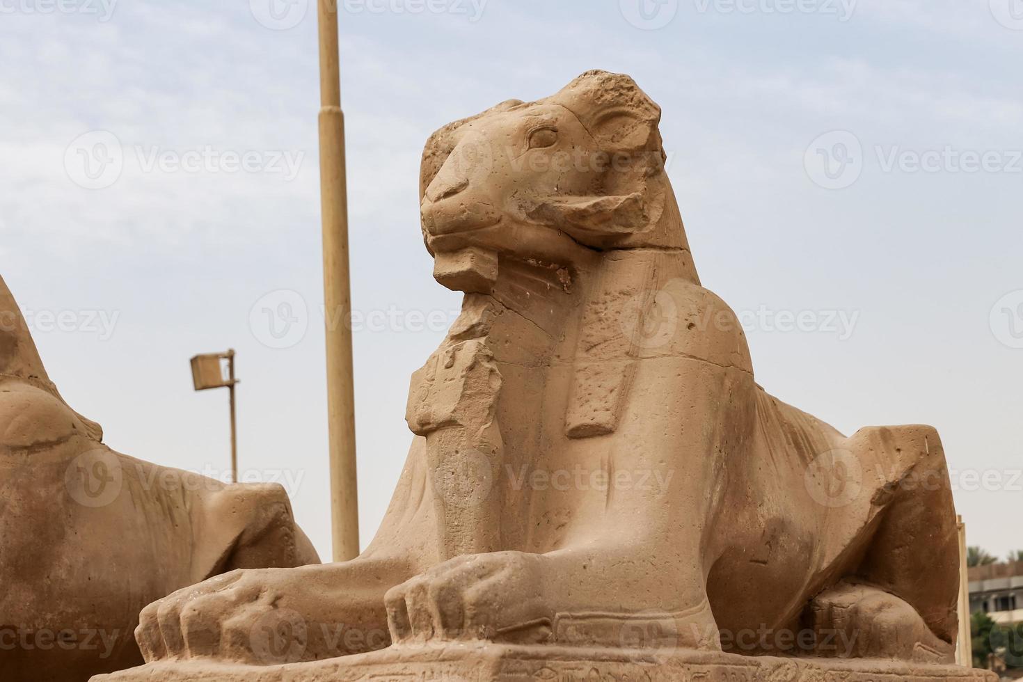 Sphinxes in Karnak Temple, Luxor, Egypt photo