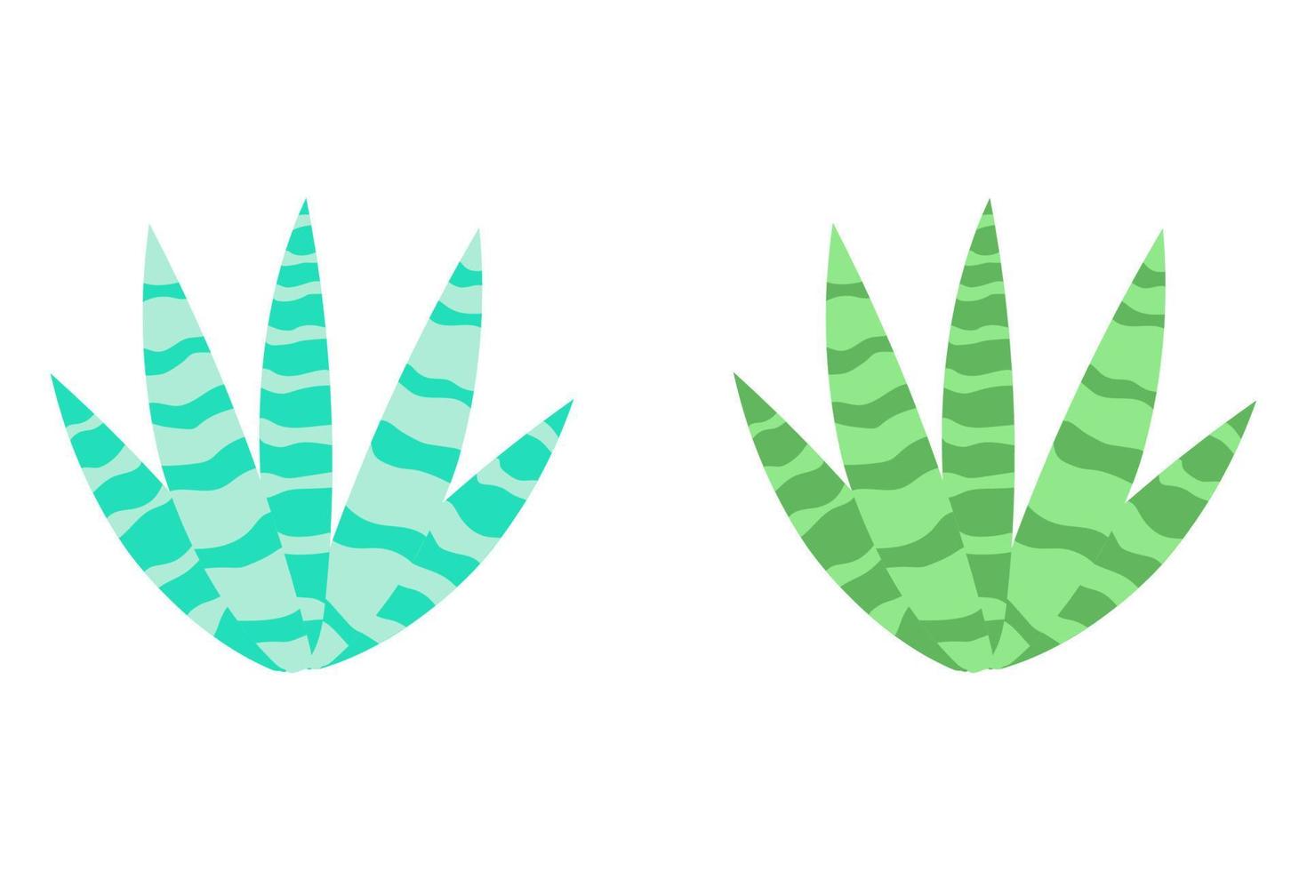 Set of vector illustrations with flat cactus bright colors. Cacti with flowers. Lovely houseplants