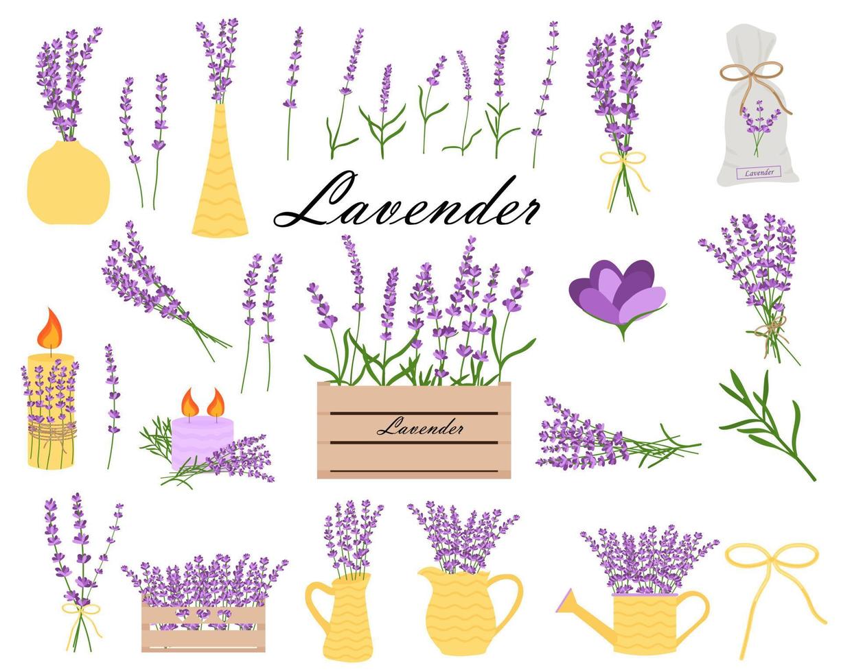 Delicate lavender set of lavender flowers in yellow vases, lavender candles, lavender bouquets. vector