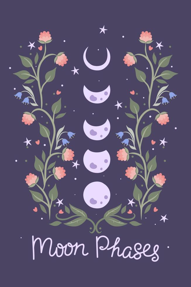 Moon phases and flowers on a purple background. Vector graphics.