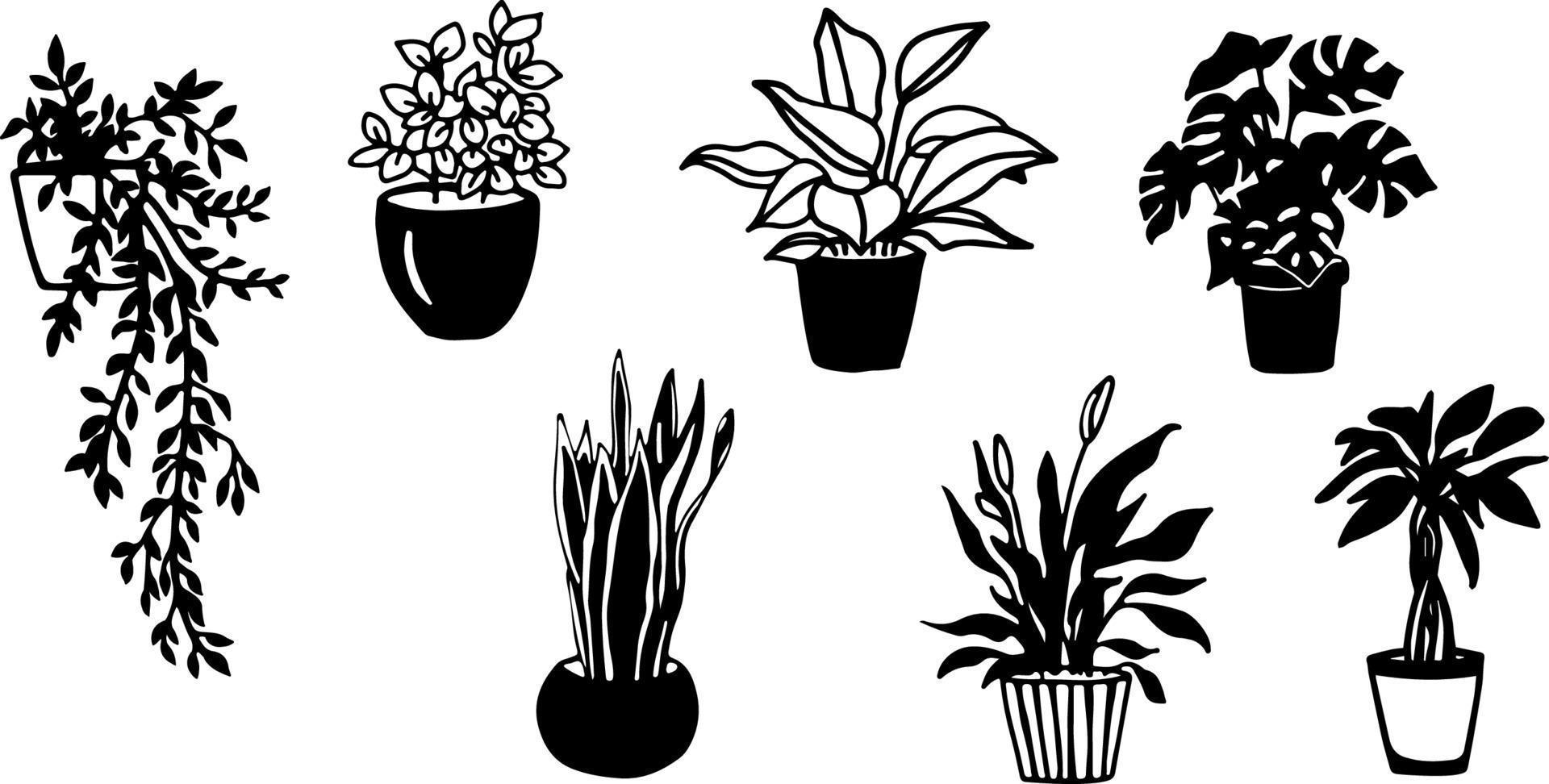 Black and white silhouettes of house plants in pot. Vector doodles illustrations of monstera and various others.