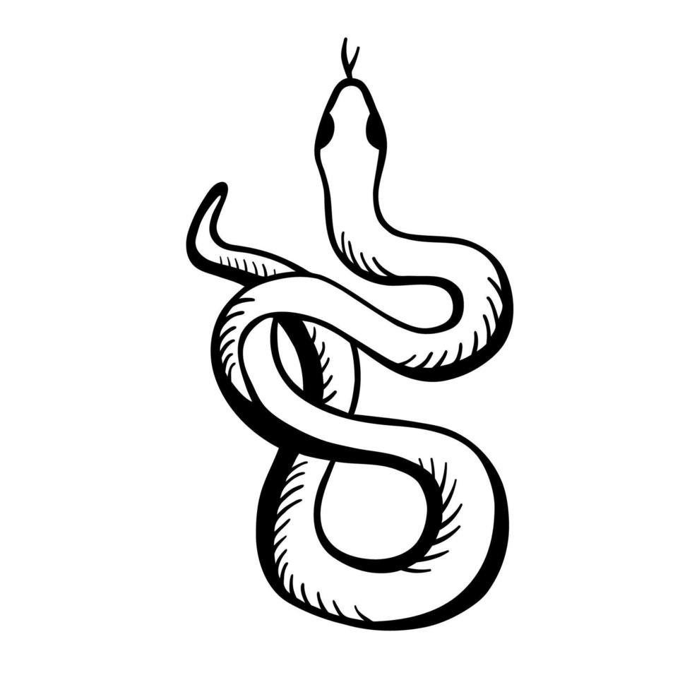 la serpiente se está retorciendo. ilustración de vector blanco negro en estilo dibujado a mano. la imagen clásica de la serpiente está aislada en un fondo blanco.