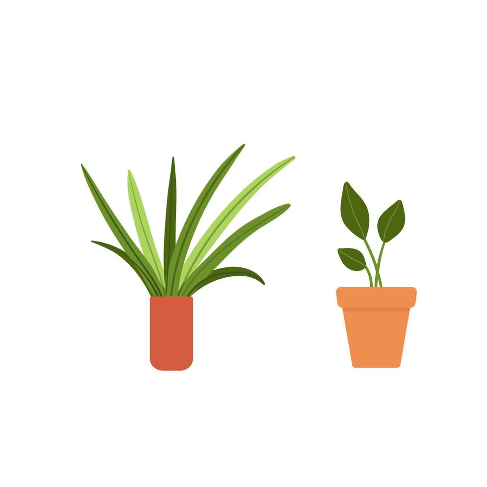 Potted plant in flat style isolated on white background vector