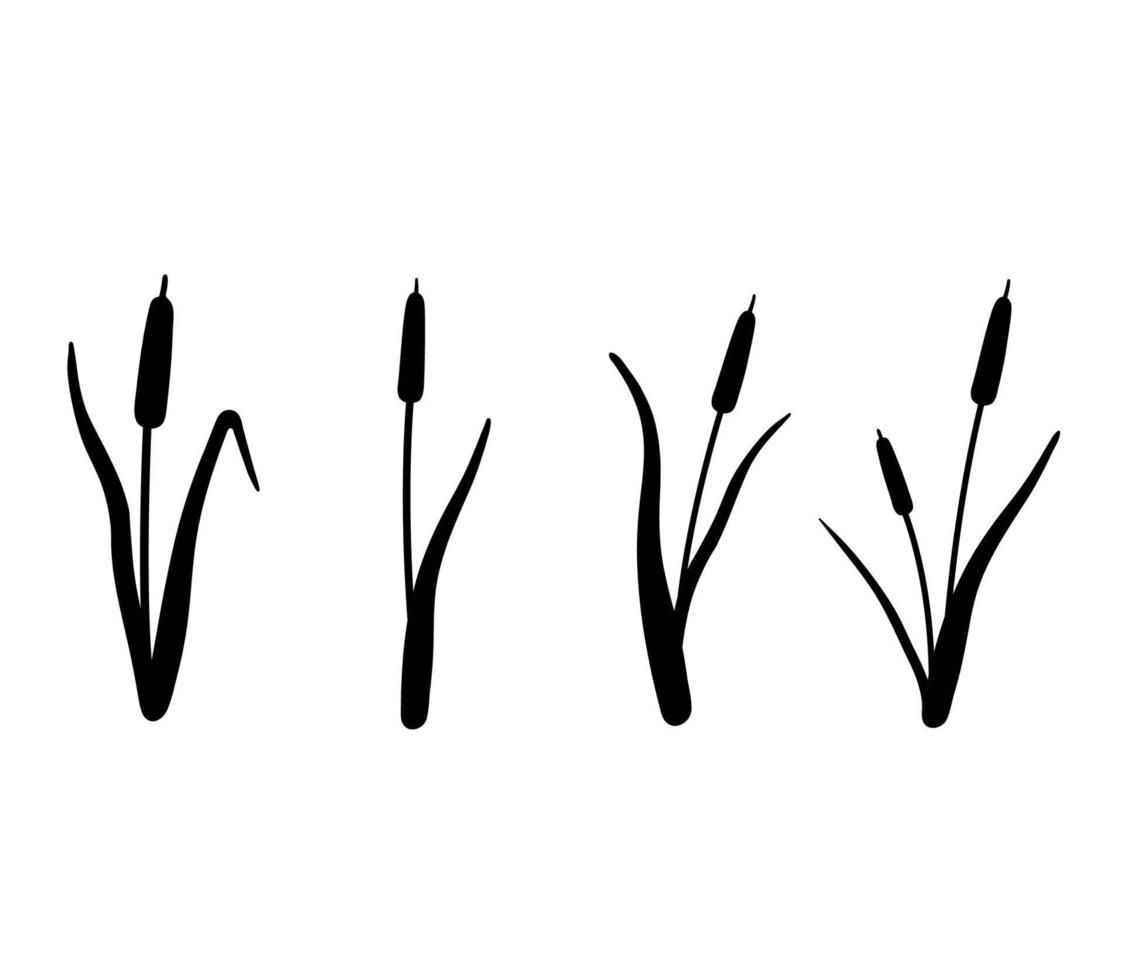 Reed silhouette set. Vector illustration isolated on white background. Plants on the swamp and river.