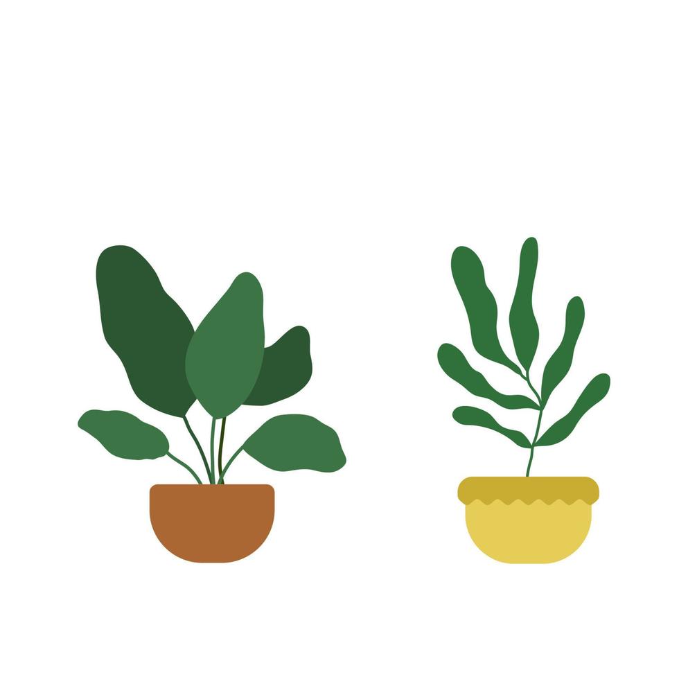 Hand drawn house plants and flower in pots. Set of vector illustrations in flat style isolated on white