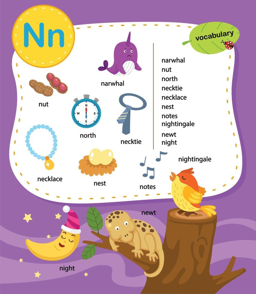 Alphabet Letter N education vocabulary illustration, vector
