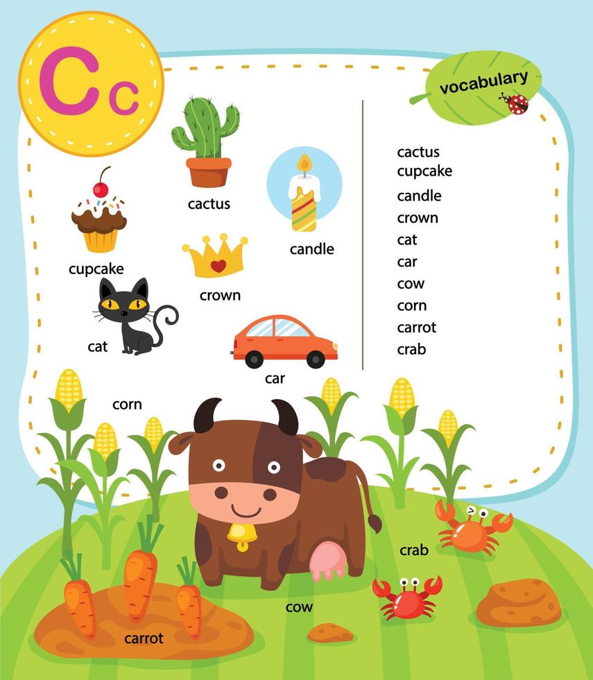 Alphabet Letter C education vocabulary illustration, vector ...