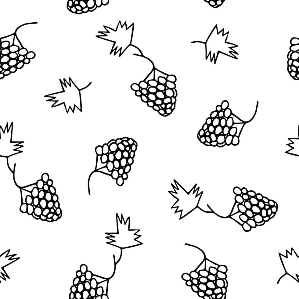 grapes seamless pattern hand drawn in doodle. fruits in a simple line style. vector