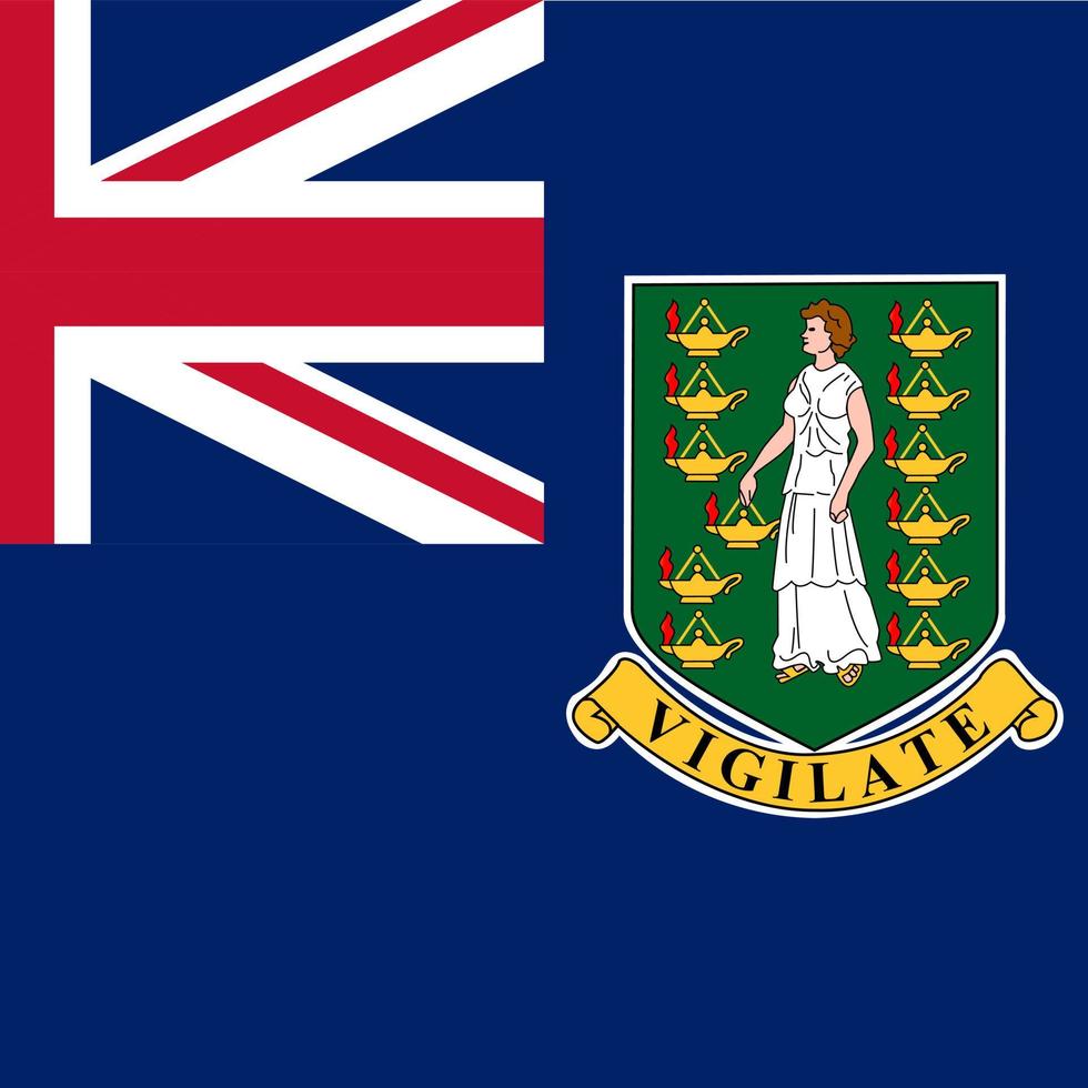 British Virgin Islands flag, official colors. Vector illustration.