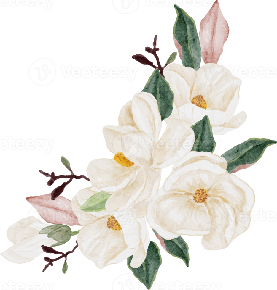 watercolor white magnolia flower and leaf branch bouquet png