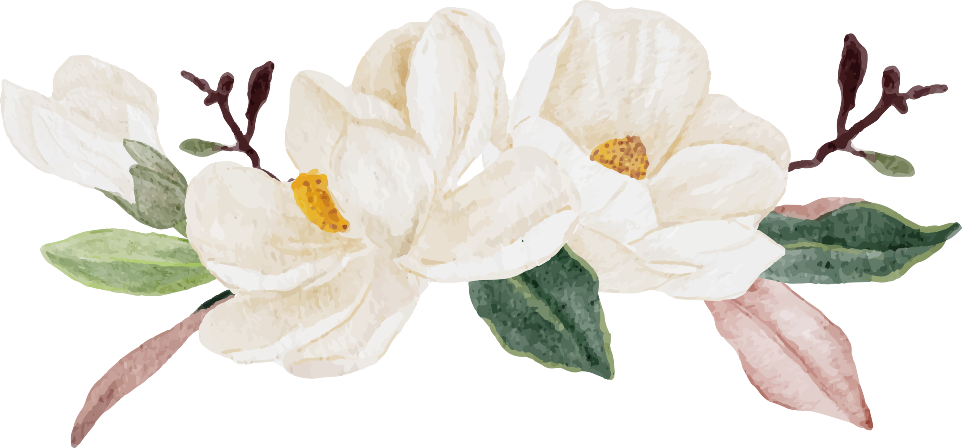 watercolor white magnolia flower and leaf branch bouquet png