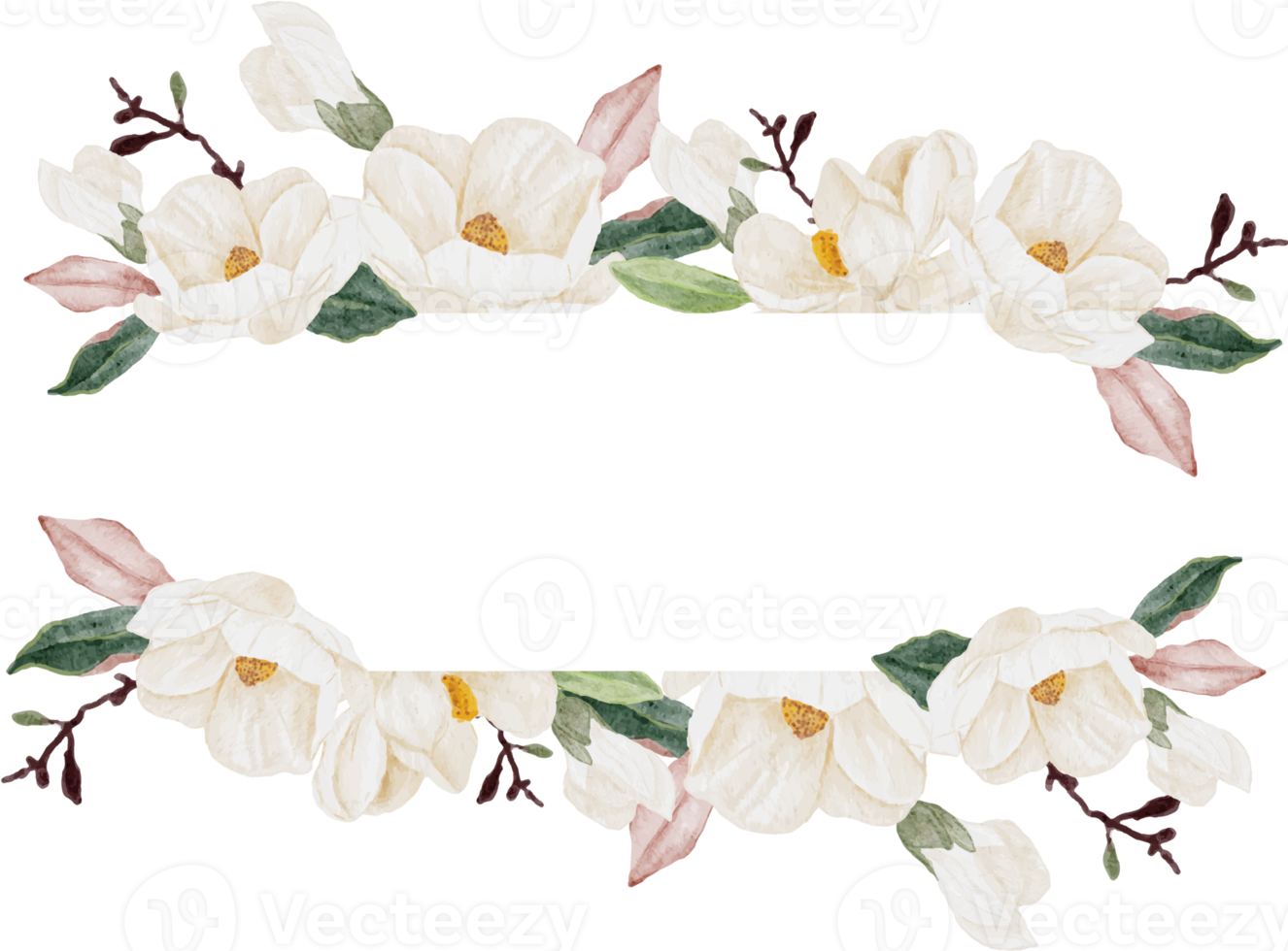 watercolor white magnolia flower branch bouquet square banner background png